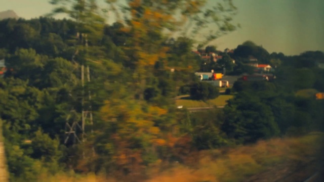 Video Reference: Nature, Vegetation, Sky, Atmospheric phenomenon, Painting, Tree, Leaf, Morning, Rural area, Landscape