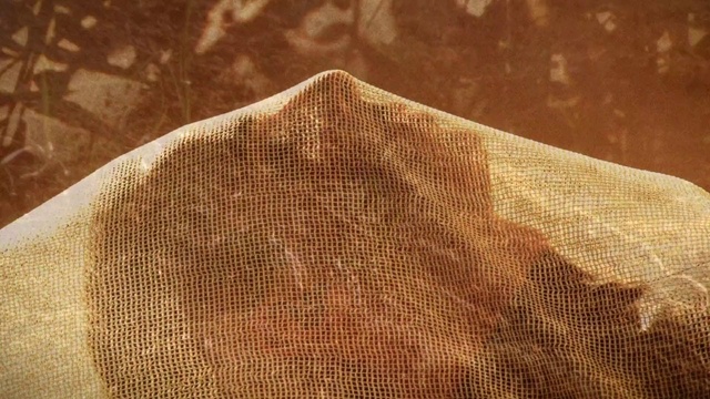 Video Reference: Brown, Beige, Textile, Linens, Pattern, Pattern