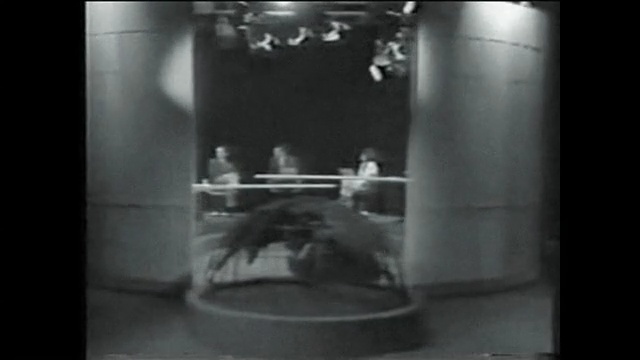 Video Reference: Photograph, Snapshot, Black-and-white, Photography, Room, Monochrome photography, Still life photography, Darkness