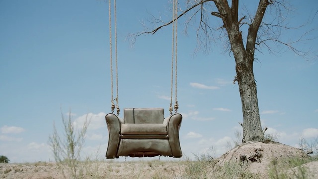 Video Reference: sky, tree, grass