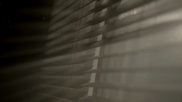 Video Reference: black, light, darkness, close up, atmosphere, photography, wood, line, lighting, window covering