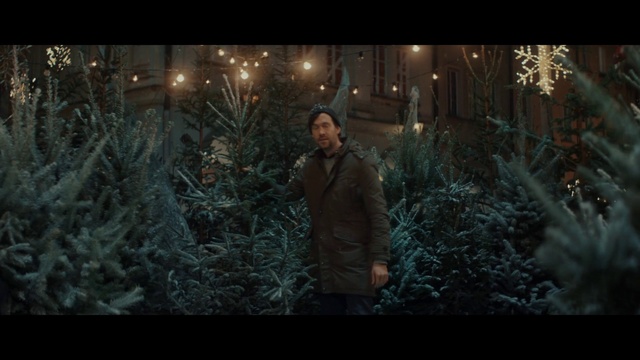 Video Reference: Tree, Nature, Natural environment, Lighting, Branch, Forest, Darkness, Woodland, Winter, Biome