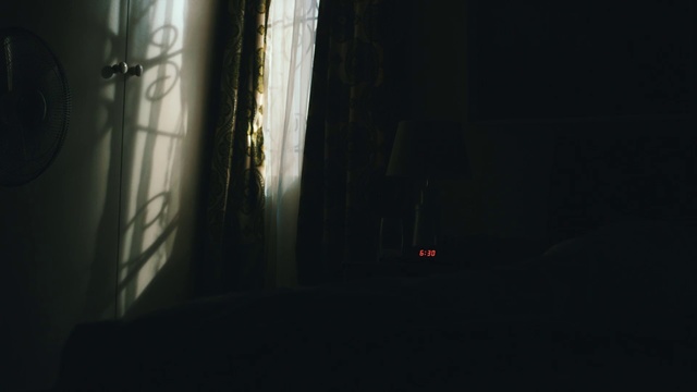 Video Reference: Black, Darkness, Light, Atmosphere, Tree, Sunlight, Night, Shadow, Room, Forest