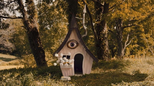 Video Reference: tree, woodland, plant, grass, forest, landscape