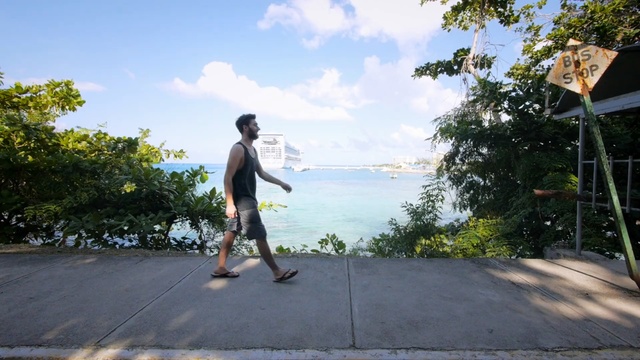 Video Reference: Tree, Vacation, Photography, Recreation, Asphalt, Tourism, Leisure, Walking, Road