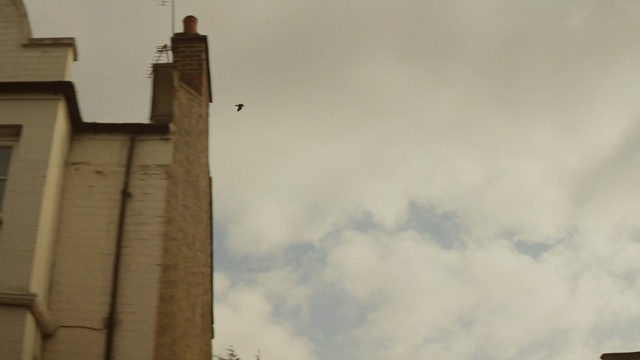 Video Reference: sky, cloud, building, meteorological phenomenon, roof, window, tower, tree, facade, Person