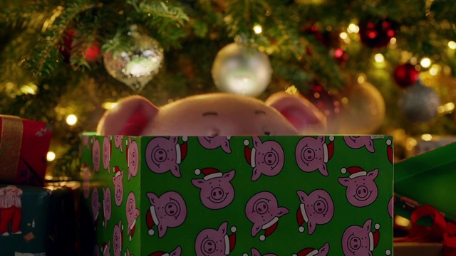 Video Reference: Christmas tree, Christmas ornament, Light, Green, Holiday ornament, Ornament, Plant, Evergreen, Christmas decoration, Event