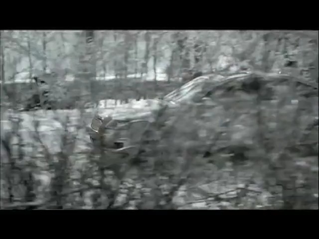 Video Reference: nature, tree, black and white, ecosystem, mode of transport, geological phenomenon, water, photography, monochrome photography, atmosphere