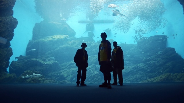 Video Reference: Aquarium, Ice cave, Underwater, Organism, Glacial landform, Cave, Photography, World, Erosion, Coastal and oceanic landforms