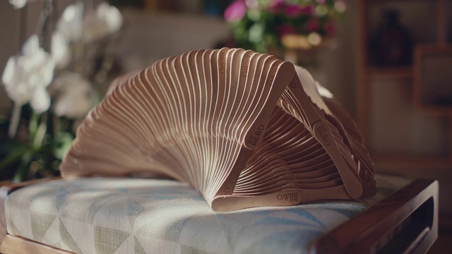 Video Reference: Plant, Hand fan, Fashion accessory