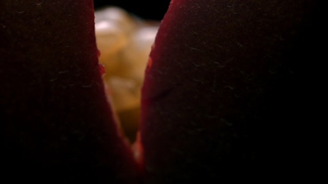 Video Reference: Red, Close-up, Lip, Mouth, Photography, Flesh, Macro photography, Darkness