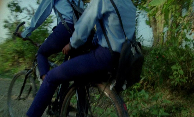 Video Reference: Nature, Bicycle, Tree, Vehicle, Recreation, Mountain bike, Cycling, Photography, Forest, Woodland