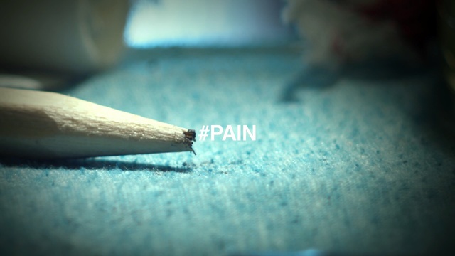 Video Reference: blue, close up, macro photography, photography, hand, finger