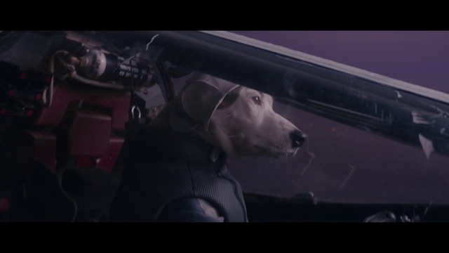 Video Reference: Darkness, Mode of transport, Screenshot, Fictional character, Digital compositing, Sporting Group, Movie, Guard dog, Canidae