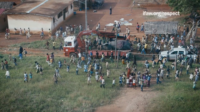Video Reference: Community, Crowd, Tree, Pole, Landscape, Soil, Sport venue
