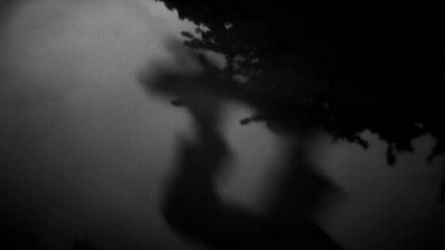 Video Reference: Black, White, Monochrome photography, Sky, Photograph, Darkness, Nature, Black-and-white, Atmospheric phenomenon, Monochrome