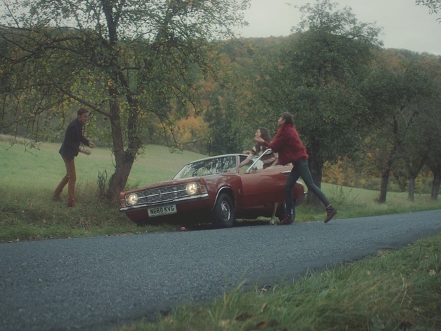 Video Reference: car, land vehicle, motor vehicle, vehicle, plant, woody plant, tree, grass, automotive design, family car, Person