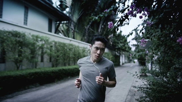 Video Reference: Photograph, Snapshot, Running, Morning, Photography, Tree, Jogging, Recreation, Fun, Muscle