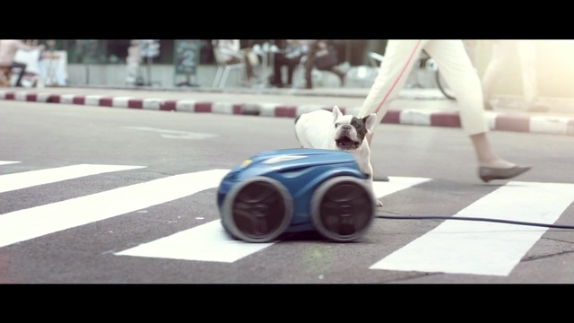 Video Reference: Mode of transport, Asphalt, Transport, Snapshot, Vehicle, Wheel, Road, Automotive wheel system, Photography, Tire, Person