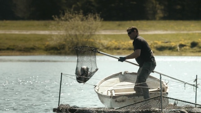 Video Reference: water, boats and boating equipment and supplies, water transportation, boating, fisherman, recreation, recreational fishing, boat, angling, oar