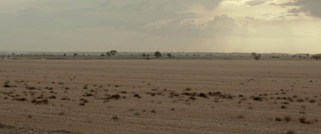 Video Reference: ecosystem, plain, ecoregion, steppe, savanna, prairie, herd, sky, safari, landscape