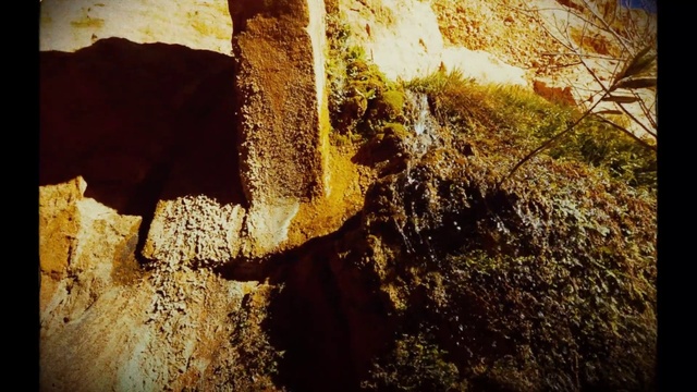 Video Reference: Bedrock, Wood, Natural landscape, Grass, Terrain, Formation, Tints and shades, Landscape, Trunk, Outcrop
