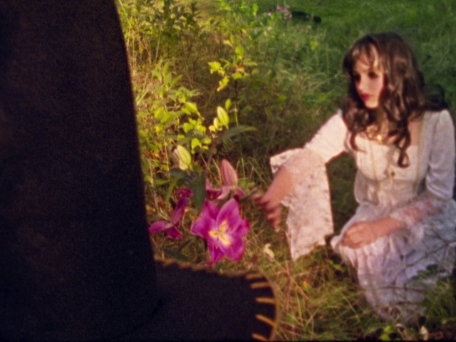 Video Reference: People in nature, Photograph, Fun, Grass, Sitting, Spring, Photography, Plant, Adaptation, Dress