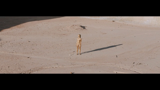 Video Reference: sand, landscape, sky, wood, dune, shadow, aeolian landform, desert