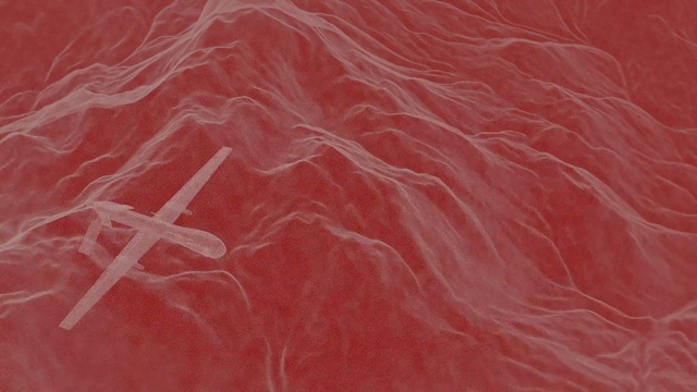 Video Reference: Red, Pink, Maroon, Peach, Pattern