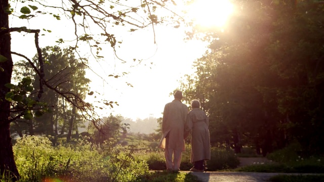 Video Reference: photograph, nature, sunlight, light, sky, photography, tree, morning, grass, woodland, Person