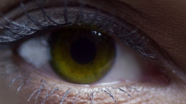 Video Reference: Iris, Eye, Close-up, Eyelash, Organ, Green, Eyebrow, Brown, Skin, Macro photography