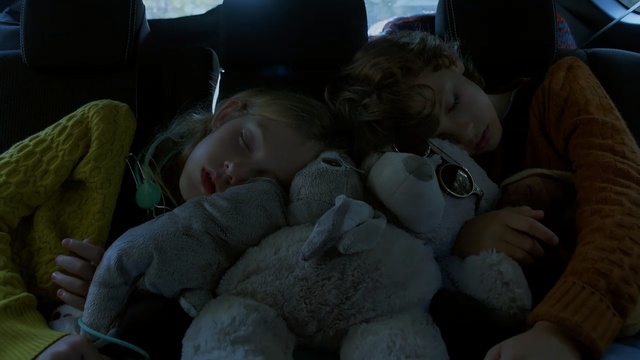 Video Reference: mammal, vertebrate, child, human, girl, fun, sleep, infant