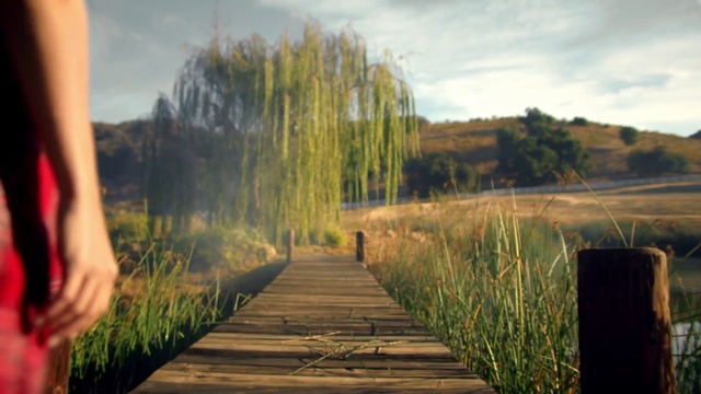 Video Reference: Nature, Natural landscape, Grass, Sky, Grass family, Morning, Tree, Landscape, Walkway, Plant