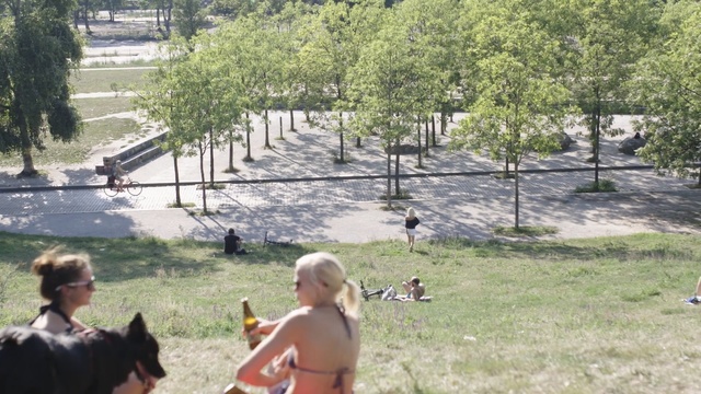 Video Reference: Grass, Public space, Tree, Fun, Lawn, Leisure, Landscape, Land lot, Yard, Photography, Person