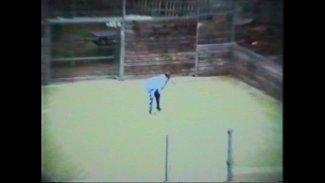 Video Reference: White, Net, Line, Player, Snapshot, Sport venue, Sports equipment, Ice, Games, Competition event