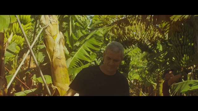 Video Reference: green, tree, vegetation, ecosystem, plant, jungle, grass, agriculture, leaf, grass family, Person