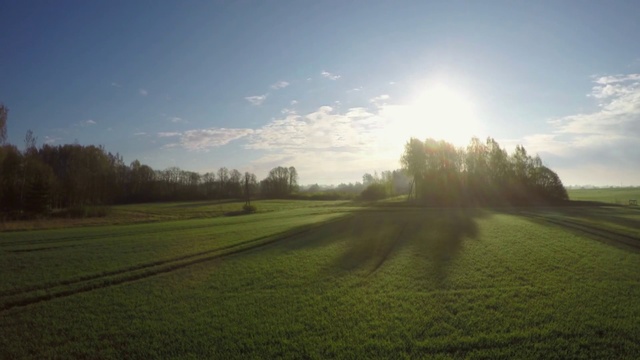 Video Reference: Sky, Nature, Field, Grassland, Atmospheric phenomenon, Morning, Natural landscape, Green, Sunlight, Plain