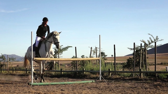 Video Reference: horse, equestrianism, english riding, hunt seat, equitation, tree, stallion, horse like mammal, eventing, rein, Person