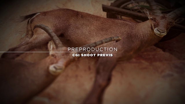 Video Reference: Skin, Snout, Hand, Mouth, Ear, Flesh, Cow-goat family