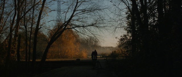 Video Reference: Sky, Nature, Tree, Natural landscape, Atmospheric phenomenon, Morning, Branch, Winter, Atmosphere, Sunlight