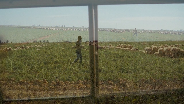 Video Reference: field, agriculture, rural area, farm, crop, grass, soil, tree, plantation, grass family, Person