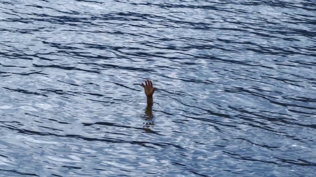 Video Reference: Water, Calm, Wood, Sea, Ocean