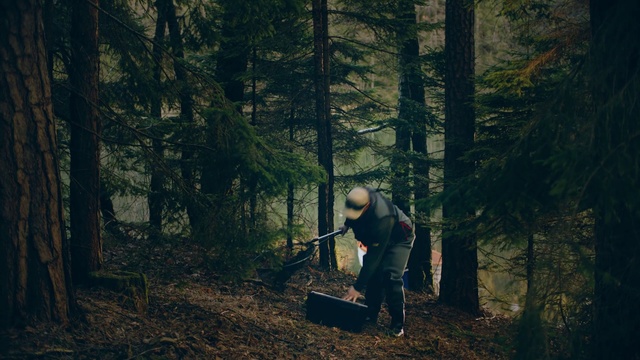 Video Reference: Forest, Woodland, Natural environment, Tree, Biome, Old-growth forest, Northern hardwood forest, Leaf, Temperate coniferous forest, Branch