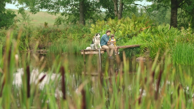 Video Reference: Nature, Natural environment, Natural landscape, Nature reserve, Bank, Vegetation, Grass, Pond, Wetland, Freshwater marsh