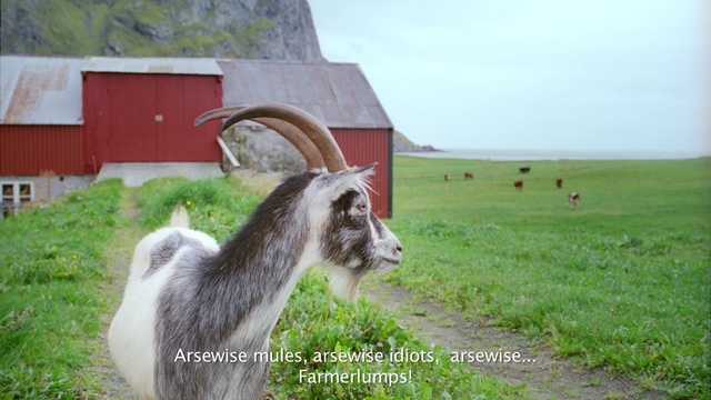 Video Reference: goats, fauna, pasture, grass, goat, livestock, ecoregion, grassland, wildlife, meadow