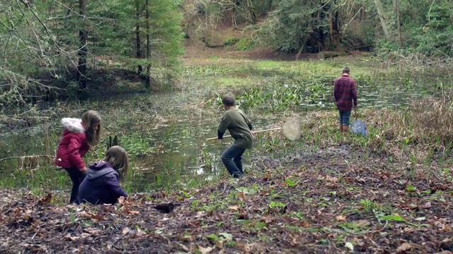 Video Reference: Woodland, Natural environment, Wilderness, Forest, Soil, Nature reserve, Tree, Community, Leaf, Adaptation, Person