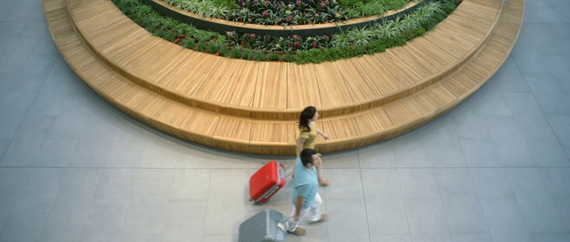 Video Reference: Tree, Leisure, Architecture, Landscape, Plant, Tourist attraction, World, Urban design, Tourism