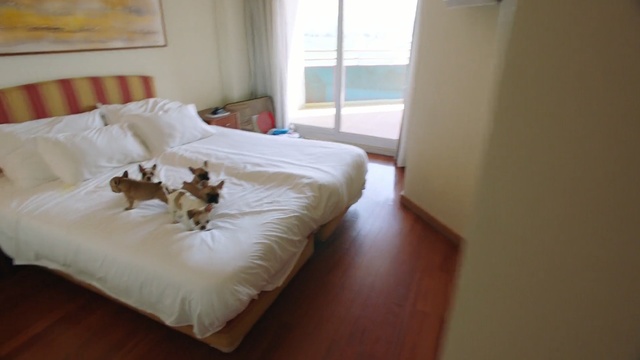 Video Reference: Bedroom, Furniture, Bed, Room, Property, Bed frame, Floor, Mattress, Bed sheet, Comfort