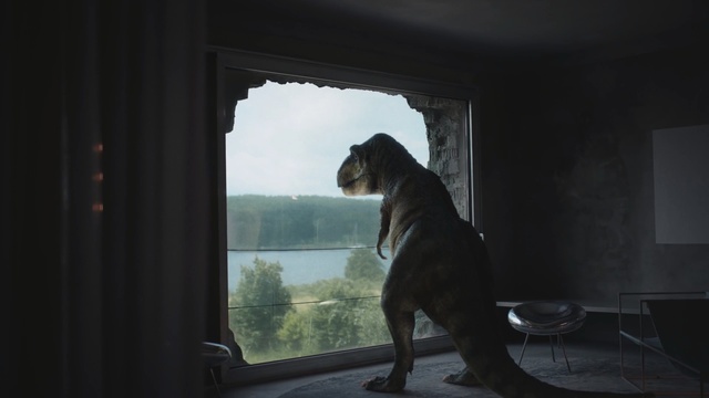 Video Reference: mammal, window, darkness, house, sunlight, sky, dog like mammal, snout
