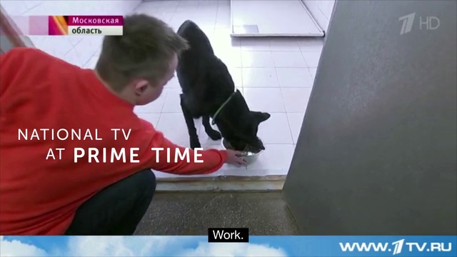 Video Reference: Snapshot, Arm, Photo caption, Shoulder, News, Joint, Organism, Photography, Footwear, Leg